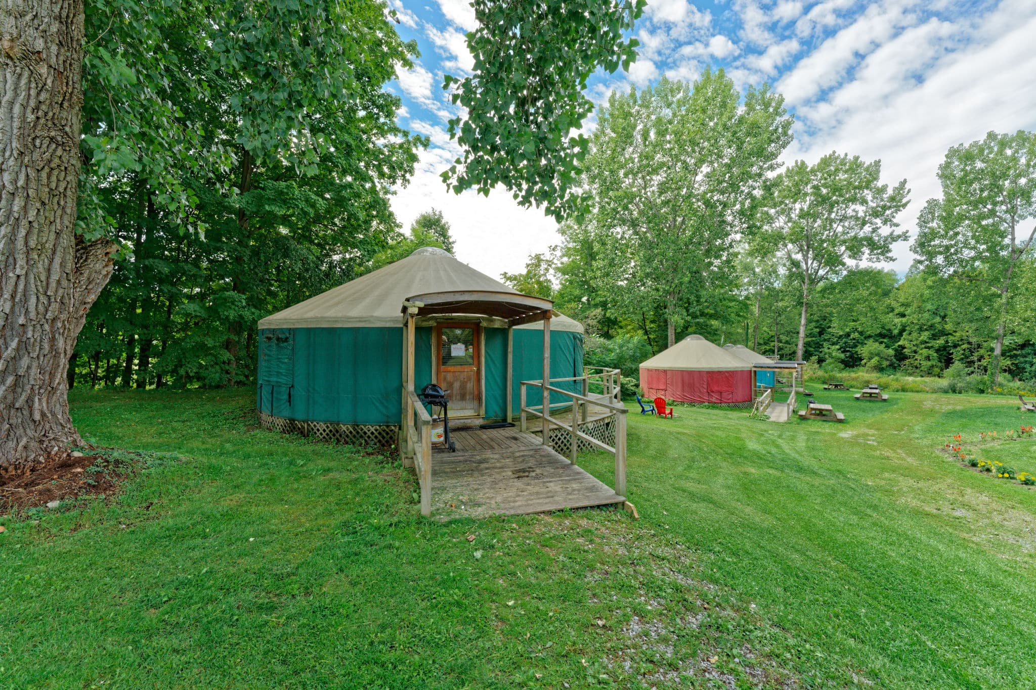 Luxury glamping yurt by a tree on Andelyn Farm