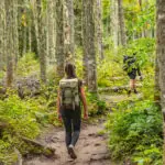 A women hiking through a forest
